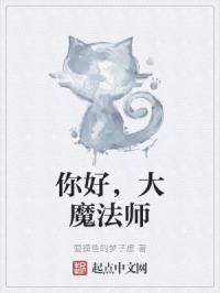 你好,大魔法师